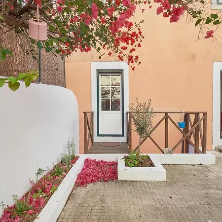 Amazing Terrace And Riverview In Historical Apartament