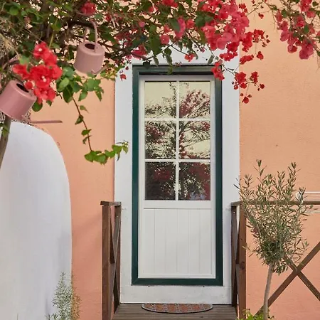 Amazing Terrace And Riverview In Historical * Lissabon